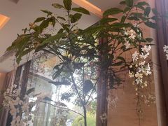 -浙江西子宾馆·瑶园咖啡厅