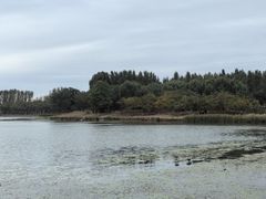 -丁香湖公园