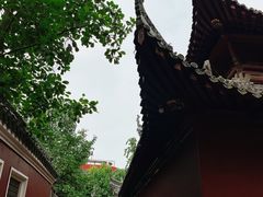 -长春观
