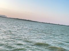 -瑶湖郊野森林公园