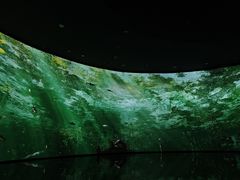 -中国湿地博物馆