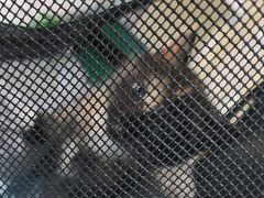 -宠颐生宠物医院·心肾内科·猫专科诊疗中心宠巢店