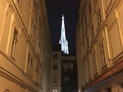 -斯蒂芬主教座堂(Stephansdom)