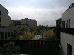 -上海崇明金茂凯悦酒店