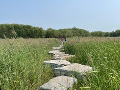 -西青郊野公园