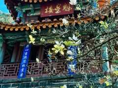 -昆明市金殿名胜区