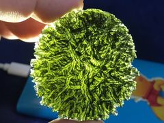 -志强陨石馆(双季花艺店)