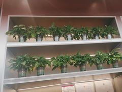 -文通冰室(东方宝泰店)