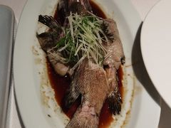 清蒸海斑鱼-顺峰(农展馆店)