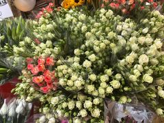 -循礼门鲜花花市(武汉循礼门店)