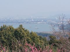 -司徒庙