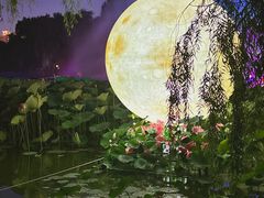 -北陵公园