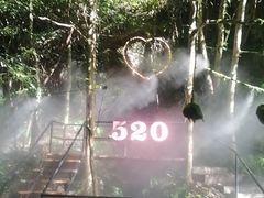 -夏霖九天银瀑风景区