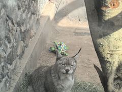 -青藏高原野生动物园