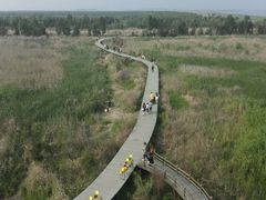 android_upload_pic-漩门湾国家湿地公园