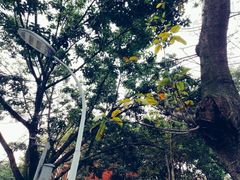 -四川大学(望江校区)