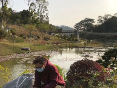 -东莞植物园