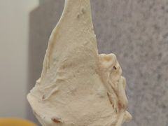 -野人先生现做冰淇淋(北京环宇荟店)