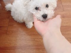 -宠颐生中康贝怡动物医院