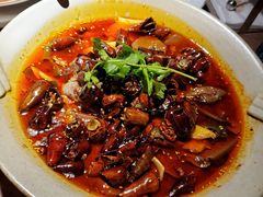 -辛香汇·现炒川菜(淮海路百盛店)