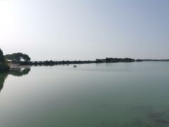 -贡湖湾湿地公园