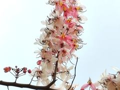 -白石龙音乐公园