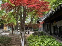 -常熟方塔园