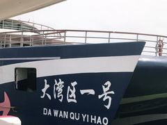 -招商蛇口邮轮母港(观光客运)