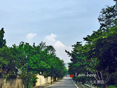 八大关景区-八大关景区