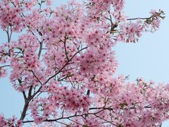 -福建鲤鱼洲酒店