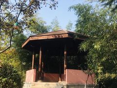 -菊花台公园