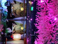 -韵秋荷(宝山龙湖天街店)
