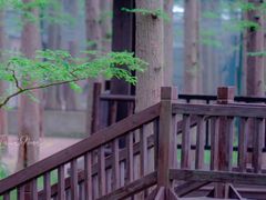 -南京金牛湖风景区
