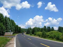 -塞罕坝国家级自然保护区