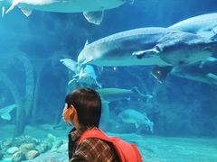 -华夏文旅海洋公园