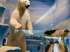 -国家自然博物馆