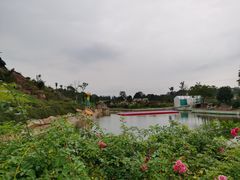 -都江堰玫瑰花溪谷