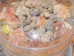 蒸汽海鲜-鲜小岛·铜锅涮肉