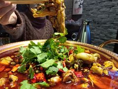 -沪小二炭火蛙锅(淮海中路美食不夜城店)