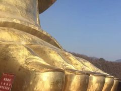 -中原大佛景区
