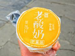芒果味老酸奶-莫愁村问君老酸奶