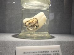 -唐山抗震纪念馆