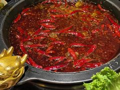 -蜀大侠火锅(总府路店)