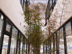-上海市徐汇区口腔医院