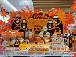 -cocokarafine可开嘉来