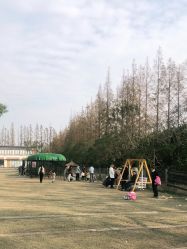 -前小桔亲子创意农场·草莓采摘·露营烧烤