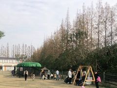 -前小桔亲子创意农场·草莓采摘·露营烧烤