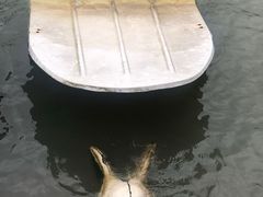 -东钱湖小普陀景区