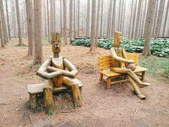 -黄海国家森林公园