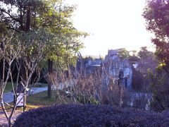 -森波拉火山温泉